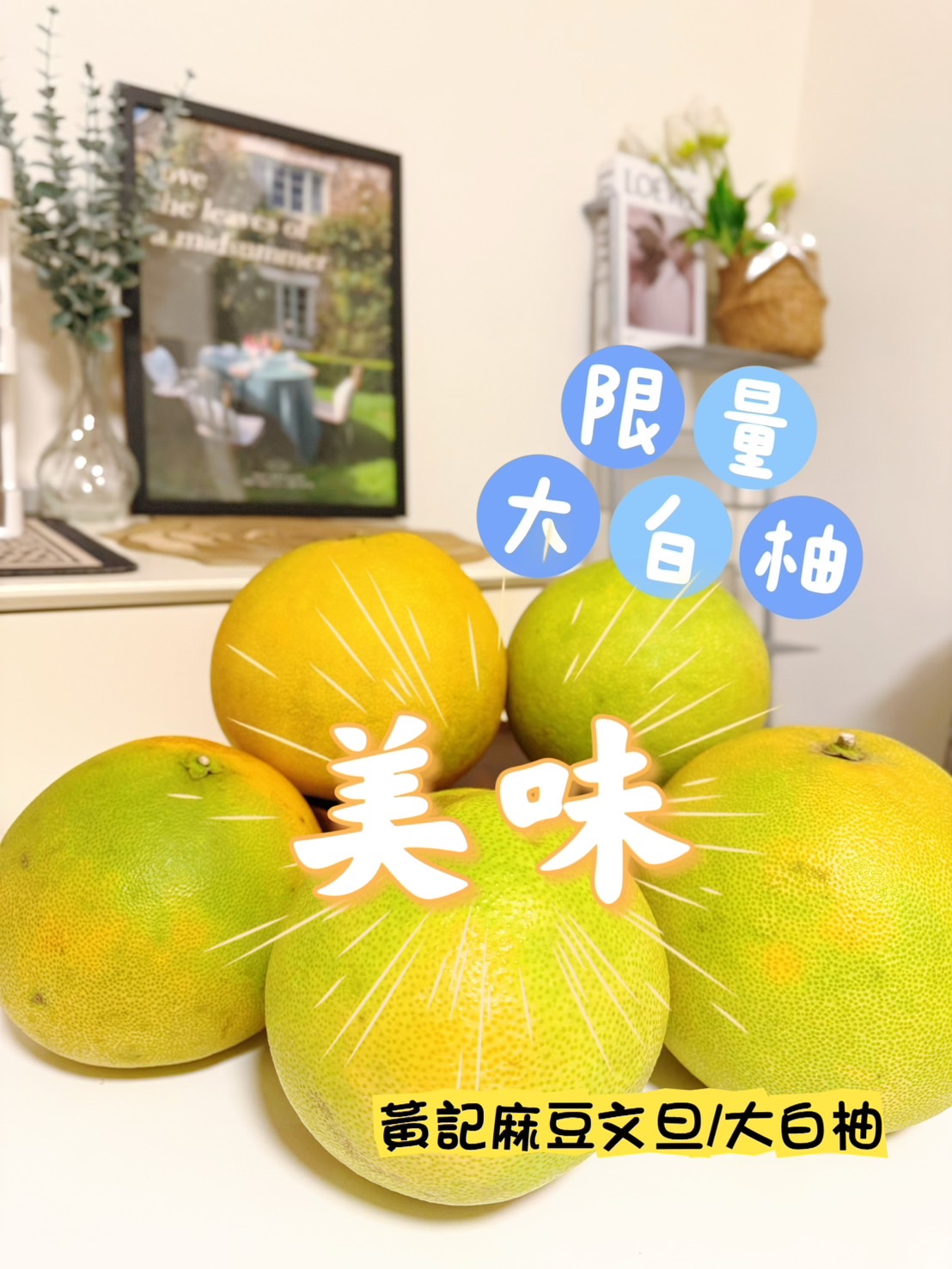 黃記麻豆文旦大白柚-限量大白柚圖片 黃記麻豆文旦大白柚-限量大白柚圖片