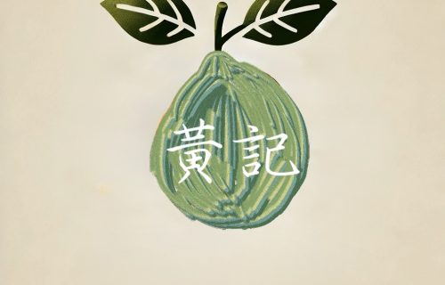 黃計麻豆文旦-來自台南的特產文旦