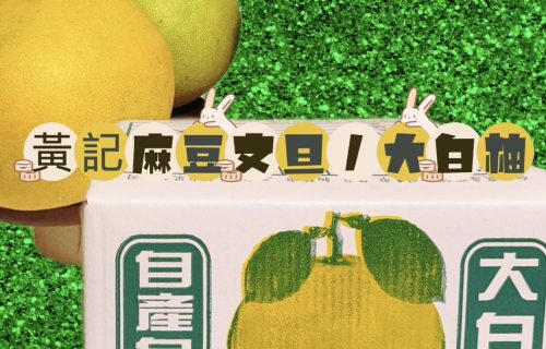 黃記麻豆文旦大白柚-頂級老欉麻豆大白柚商品圖