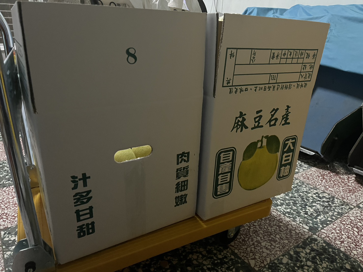 大白柚收成裝箱圖片