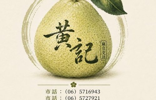 黃記麻豆文旦大白柚來自台南麻豆新鮮直送文旦